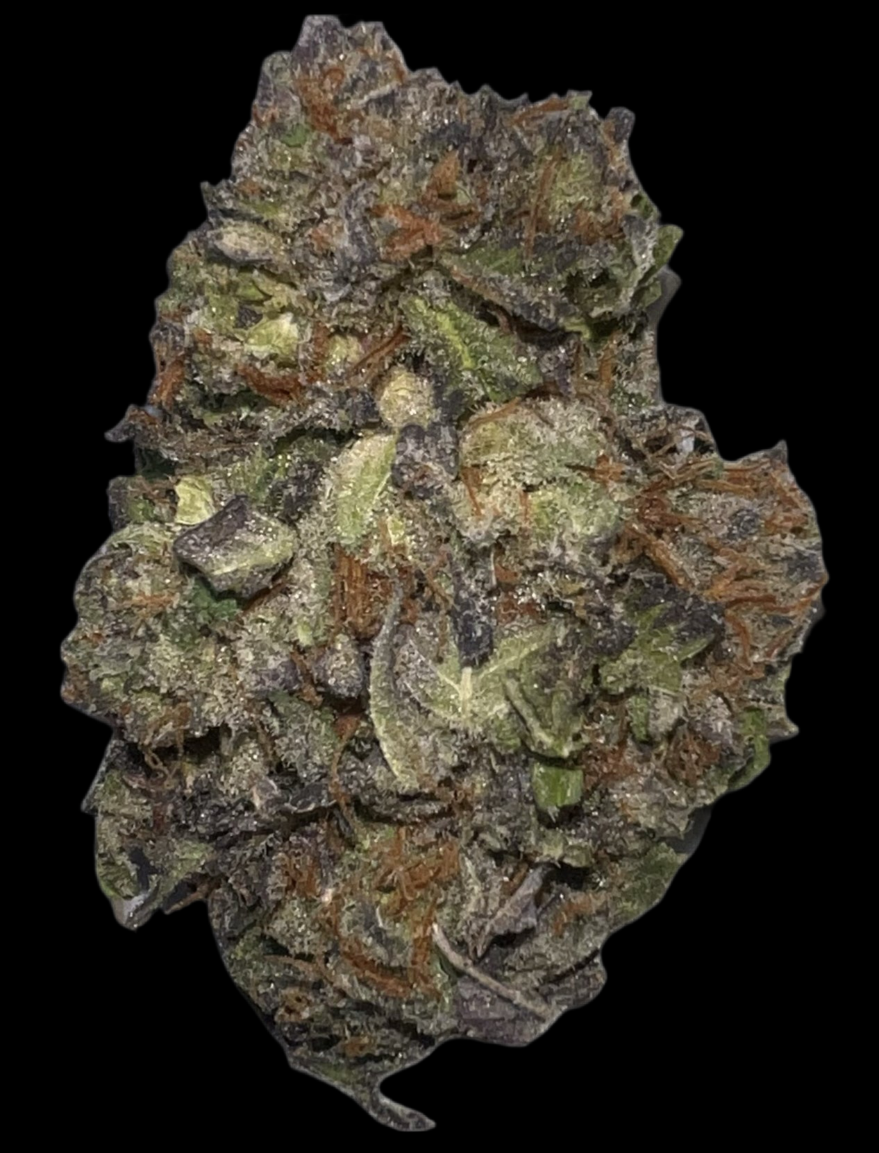 Purple Plat